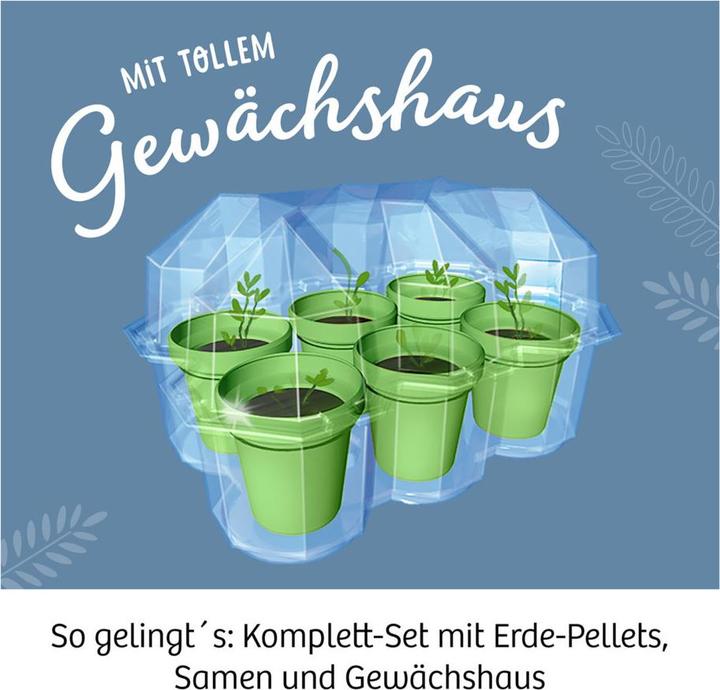 Produktbild Kosmos Mimosen-Garten