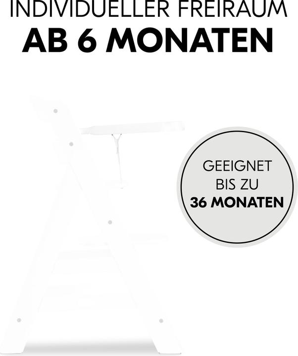 Actual product image Hauck Alpha