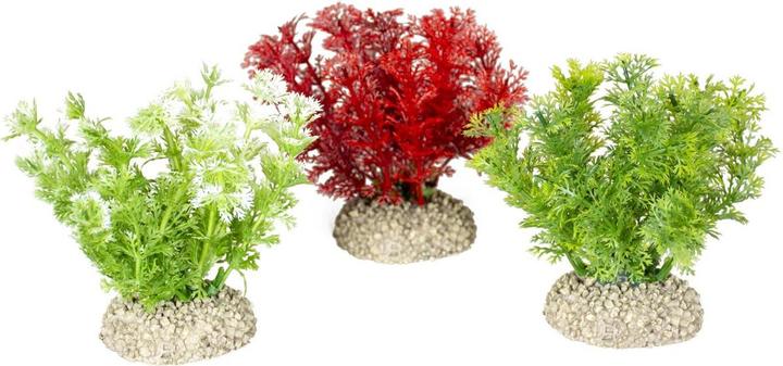 EBI Aqua Della Pflanze Hottonia Set S (Pflanzen)