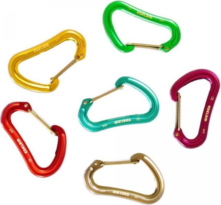 Actual product image Edelrid Nineteen G Sixpack Carabiner