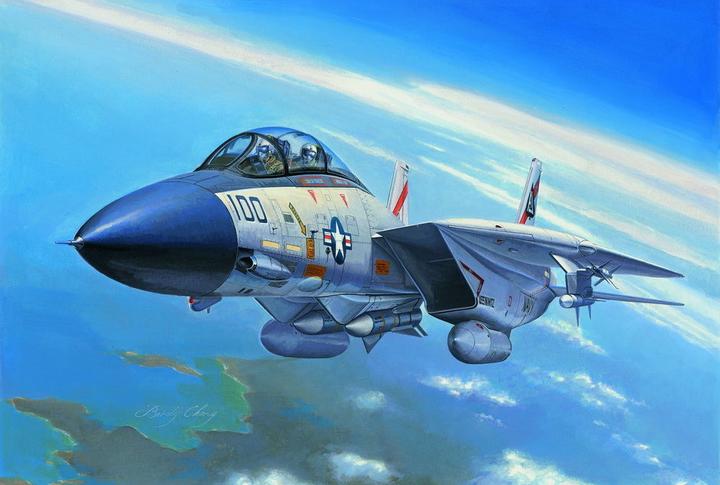 Actual product image Hobby Boss F-14A Tomcat