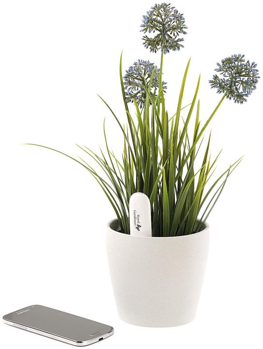 Immagine prodotto Royal Gardineer Sensori per piante 4in1