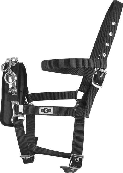 Actual product image Kincade Coordinate Longe Cavesson cavesson bridle