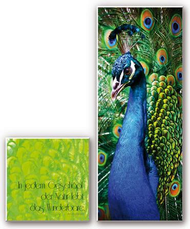 Actual product image Trenddeko In every creature of nature (2-part) (50 x 50 cm, 120 x 50 cm)