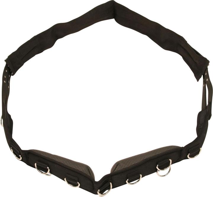 Kerbl Lunging harness