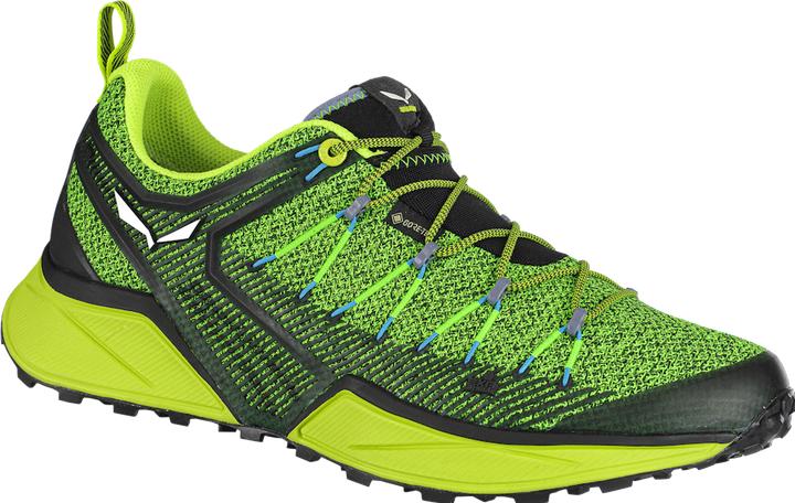 Produktbild Salewa Dropline GTX Schuhe (40)