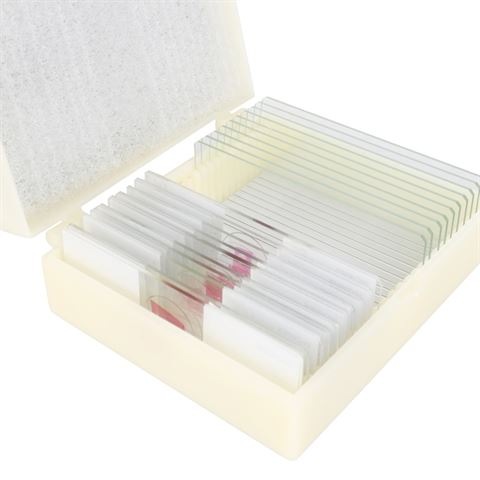 Produktbild Konus Preparate Set Parasites (10 Stk.)