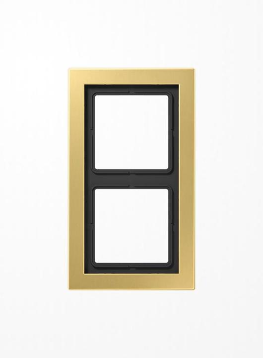 Actual product image JUNG Mounting frame 2f ms mt LS / LS-DESIGN MED2982C