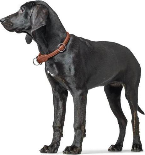 Image du produit Hunter Collier D Round & Soft Canadian UP pour chiens Cognac M (M, Chien, Sport canin)