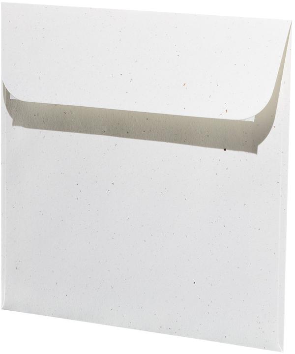 Immagine prodotto Artoz Linea verde Pkg 5 buste qd betulla (qd, 5x)