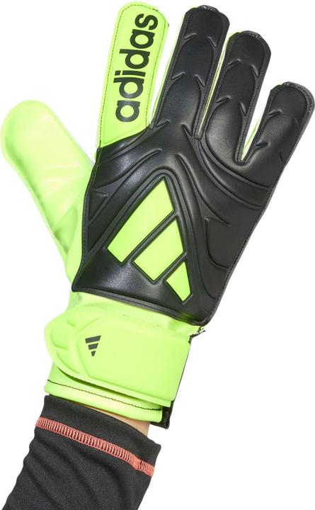 Produktbild Adidas Copa Club Torwarthandschuhe