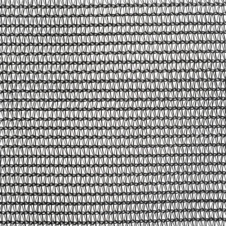Produktbild Diverse Hardware Anhängernetz HDPE 2,5x4,5 m Schwarz