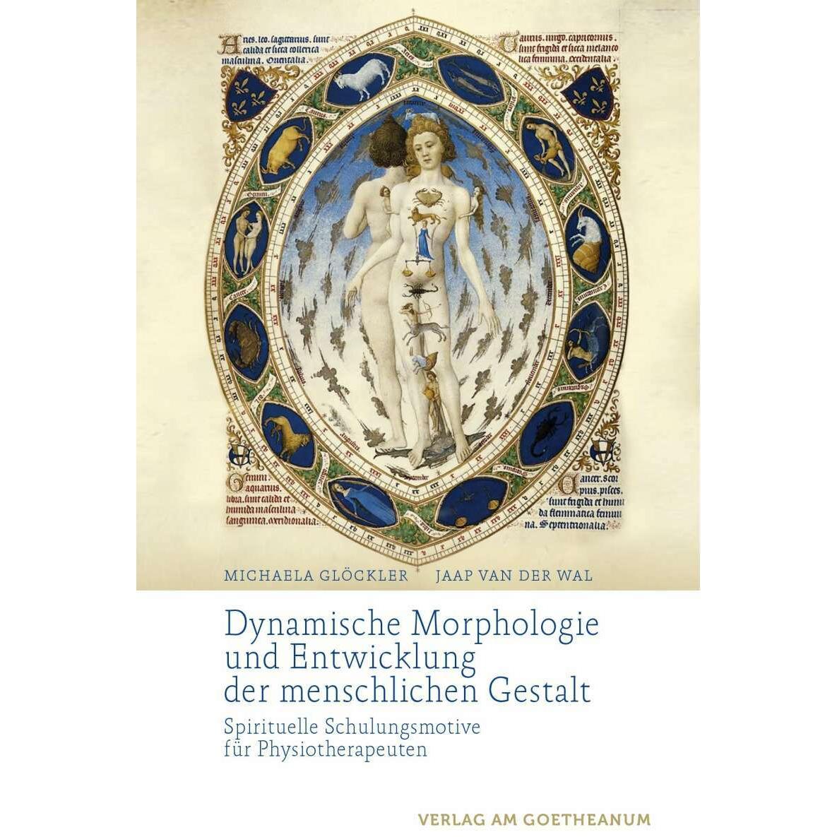 Thumbnail - Dynamische Morphologie und Entwicklung der menschlichen Gestalt, Fachbücher von Jaap van der Wal, Michaela Gloeckler