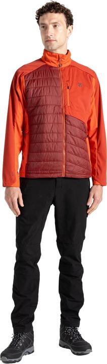 Produktbild Dare2b Mountaineer Hybridjacke (XL)
