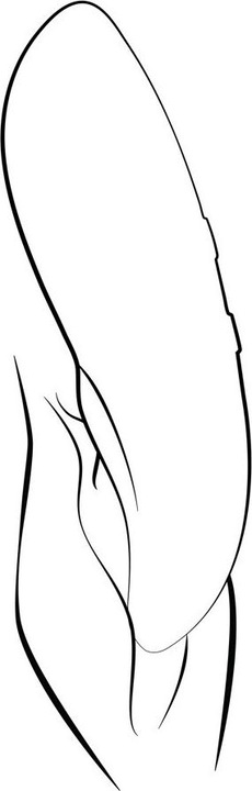 Actual product image We-Vibe Touch X