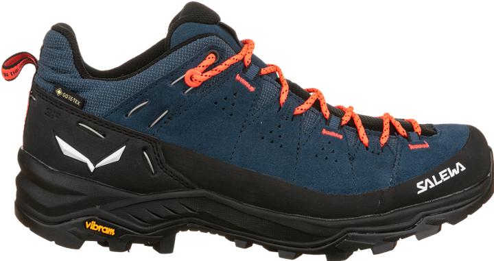 Image du produit Salewa Alp Trainer 2 GTX (43)
