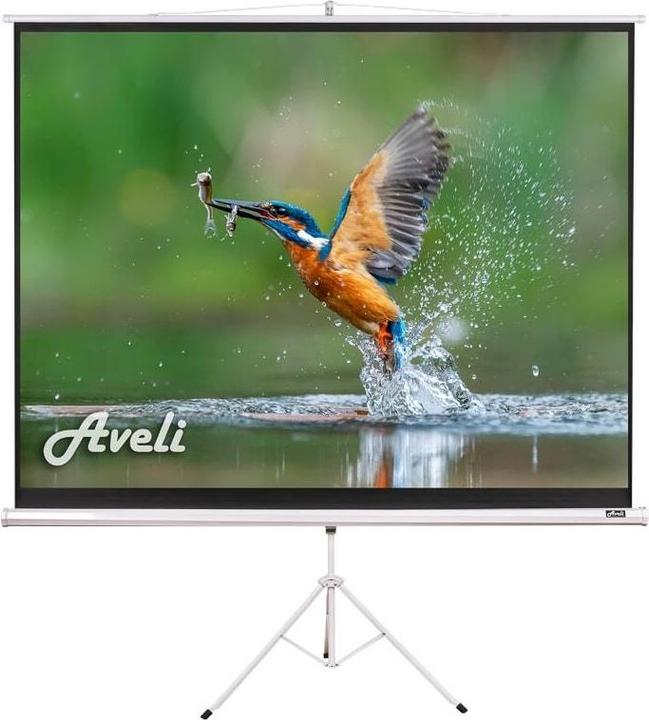 Image du produit Aveli Projekční plátno statif, 150x113cm (4:3) (74", 4:3)