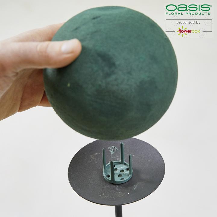 Immagine prodotto Oasis Portaspilli