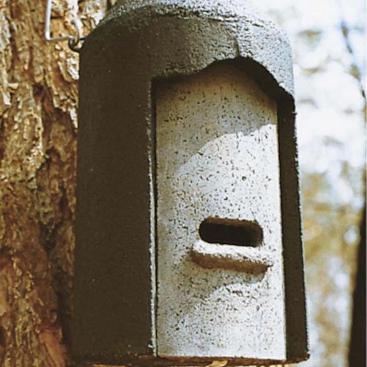 Immagine prodotto Schwegler Foro del nido