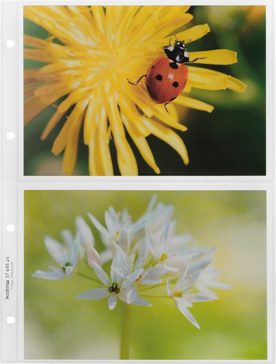 Actual product image Kolma A4 2xA5 landscape smooth strong (A5, 10 x)