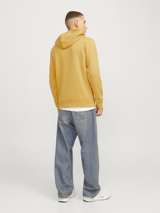 Produktbild Jack & Jones JJELOGO SWEAT HOOD 2 COL 24/25 NOOS (S)