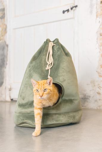 Produktbild Designed by Lotte Vilar (Katze)