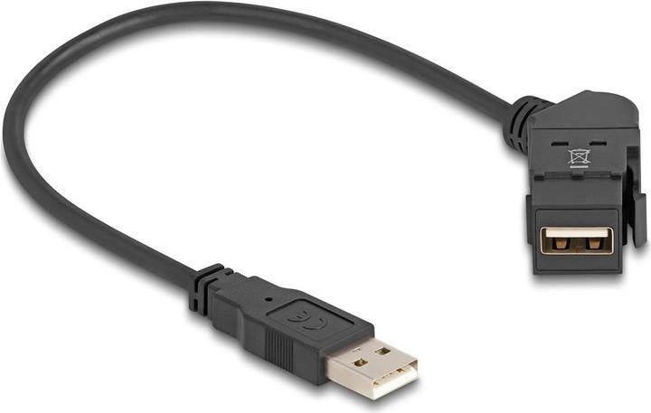 Produktbild Delock USB 2.0 Typ-A Einbaubuchse 45° gewinkelt zu Typ-A Ste (0.30 m, USB 2.0, 4 W)