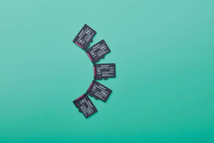 Actual product image Kingston Canvas Select Plus (256 GB, microSDXC, U1, UHS-I)