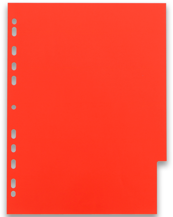 Actual product image Oxford Divider Coloured A4 Pp 12 Tabs