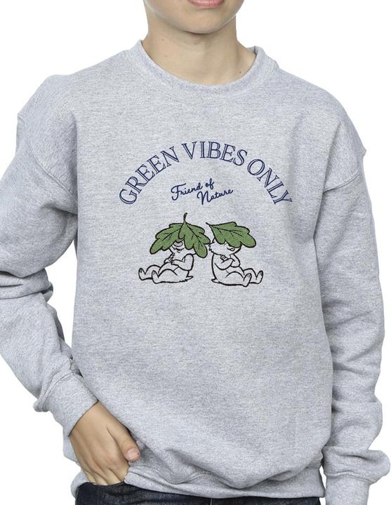 Actual product image Disney Boys Chip 'n Dale Green Vibes Only Sweatshirt (104)