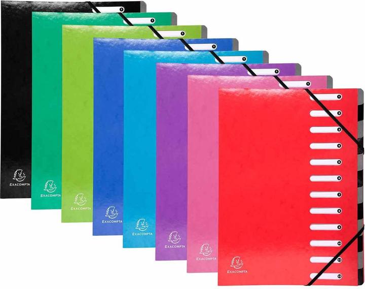 Actual product image Exacompta Ordnungsmappe (A4, 8x)