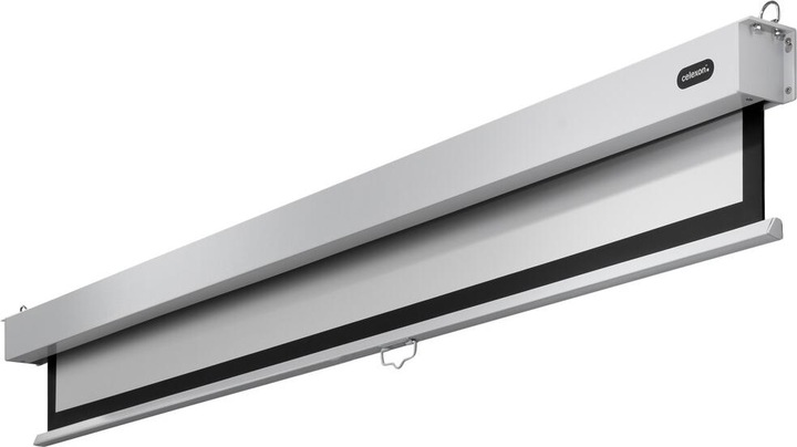 Image du produit Celexon Professionnel Plus (84", 1:1)