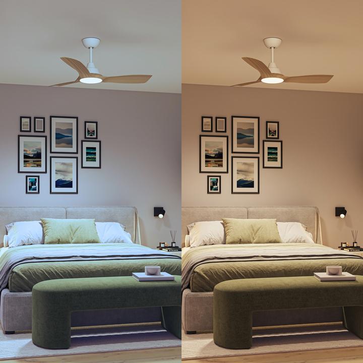 Immagine prodotto Philips Olas