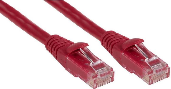 Rot