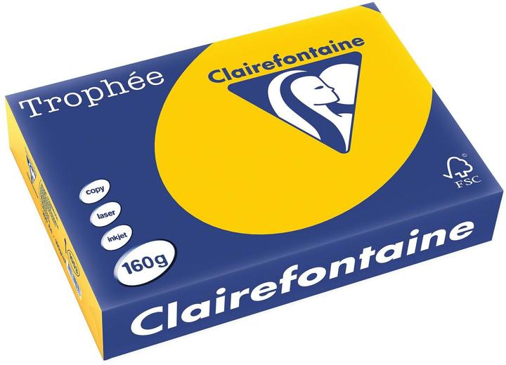 Jaune tournesol