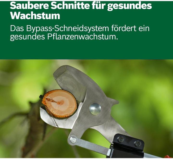 Actual product image Bosch Home & Garden AdvancedPrune