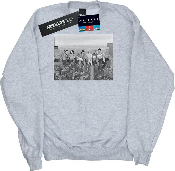 Produktbild Friends Construction Photo Sweatshirt (XXL)