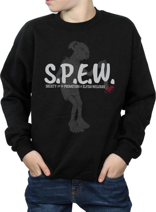 Actual product image Boys Dobby SPEW Sweatshirt (152, 158)