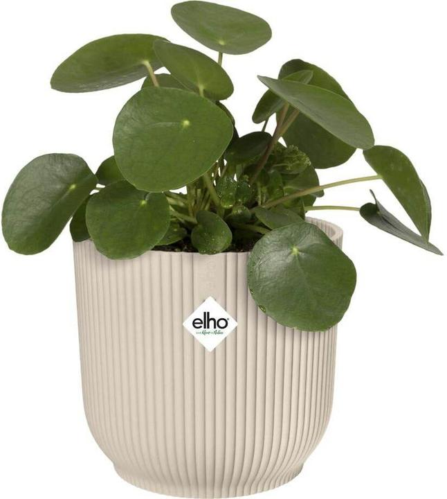 Produktbild Elho Vibes fold (18 x 17 cm)