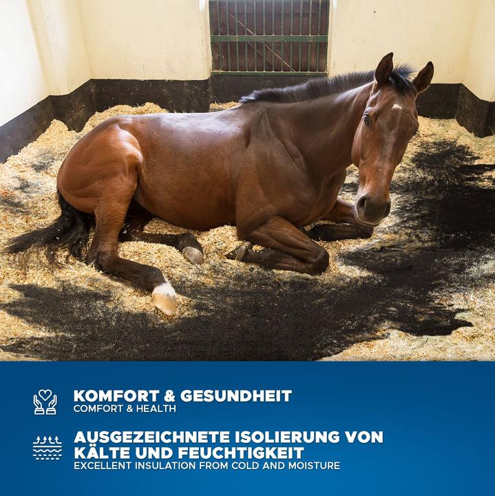 Produktbild ETM Pontiac (120 x 180 cm)