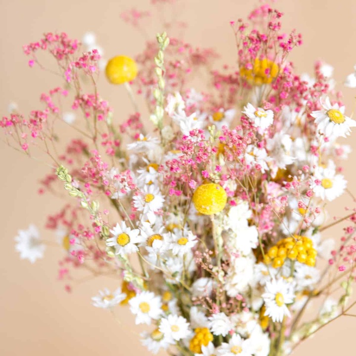 Immagine prodotto la fleur douce Joyeux (Fiori secchi)