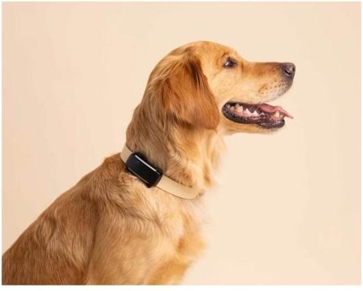 Immagine prodotto Tractive GPS Tracker Dog 6 (Cane, Passeggiare)
