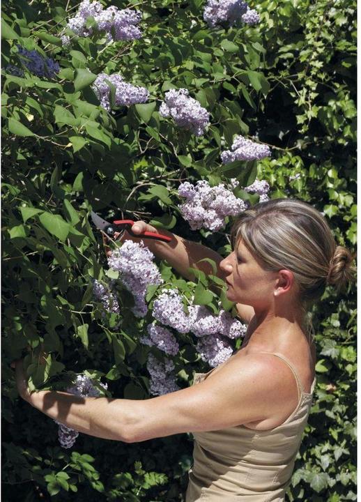 Produktbild Felco 160L Gartenschere für grosse Hände, für Rechtshänder