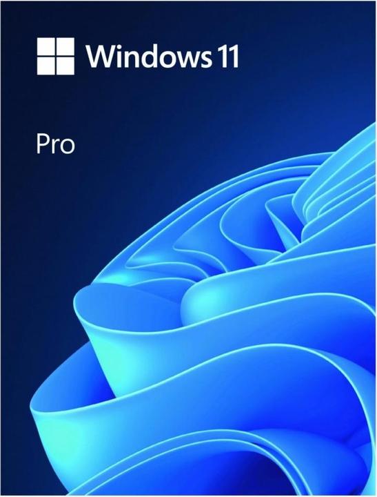 Immagine prodotto Microsoft Windows 11 Pro (1 Utente, Senza limiti)