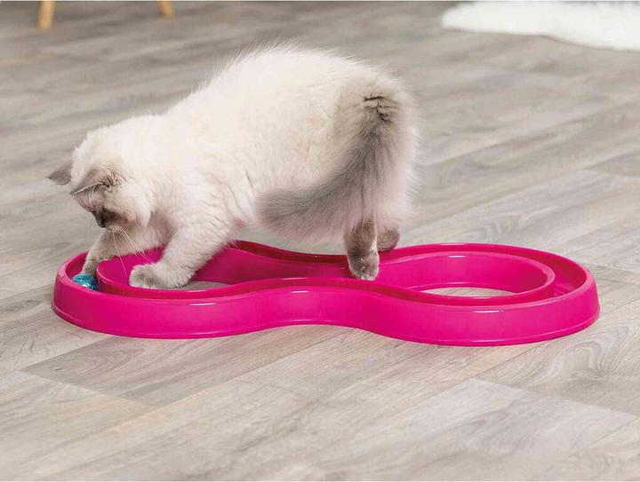 Actual product image Trixie Flashing Ball Race (Cat ball toy)