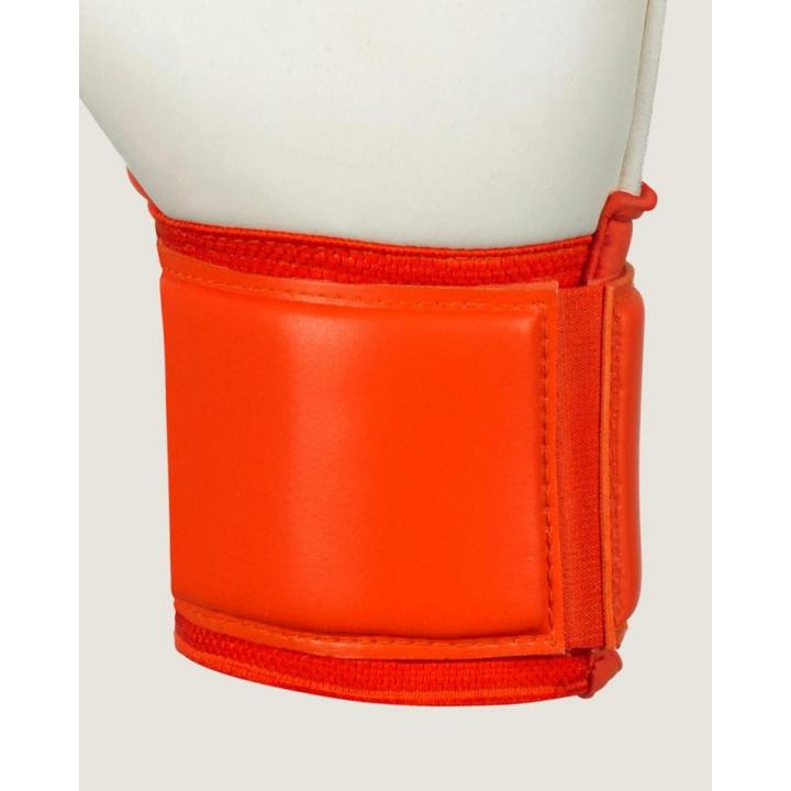 Produktbild Select Protection v24 Torwarthandschuhe (5)