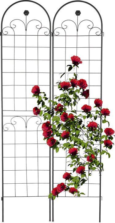 Actual product image Relaxdays 2x trellis (1.50 cm, 50 cm)