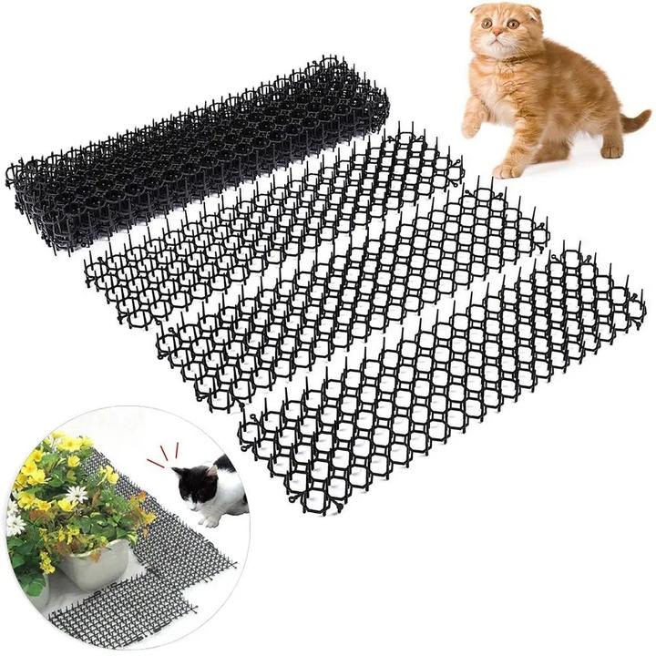 Actual product image Werkstein Bird protection spikes