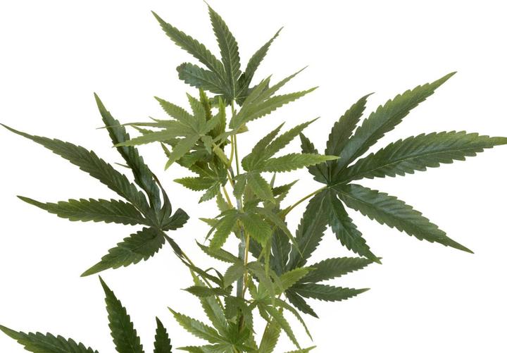 Europalms Hanfzweig, künstlich, 90cm (90 cm)