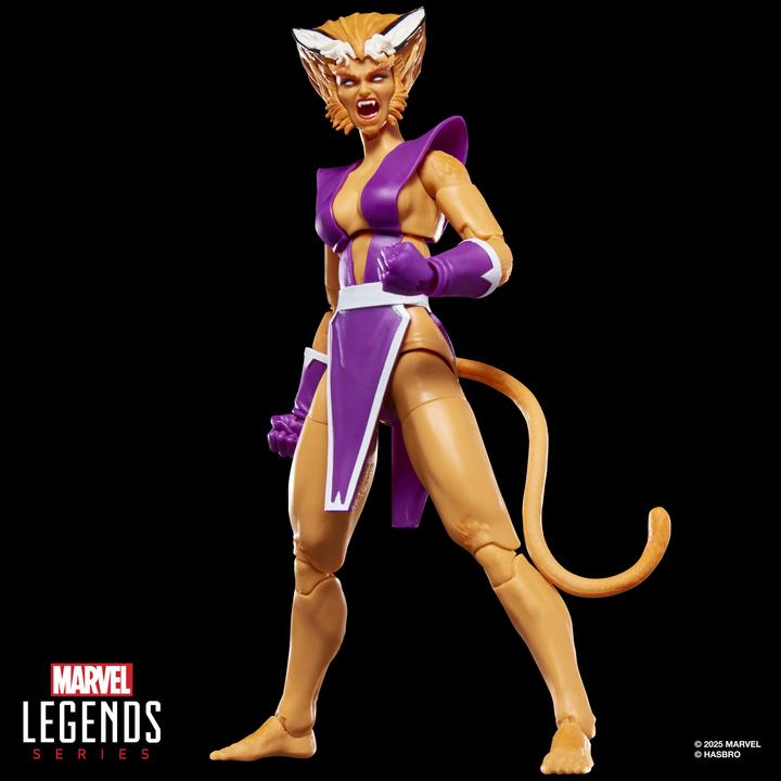 Actual product image Mv Legends W2 Mc 6
